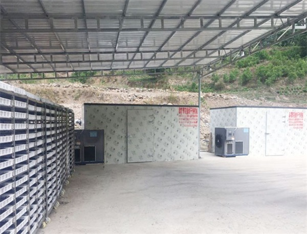 四川靠譜的果蔬熱泵烘干機組品牌