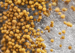 運維無保障，安全有隱患