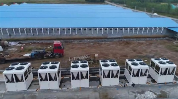 打造高品質養鴨場就用空氣能采暖系統