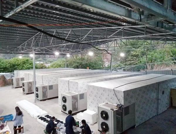 農產品干制加工選高溫熱泵烘干更省錢