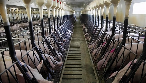 養殖戶信賴的空氣能冷暖廠家