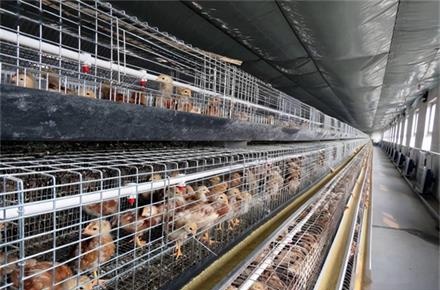 南陽養雞大棚信賴的空氣能熱泵采暖工程建設廠家