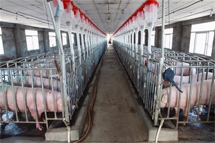 山東養(yǎng)殖大棚用空氣能熱泵保溫的實(shí)際效果