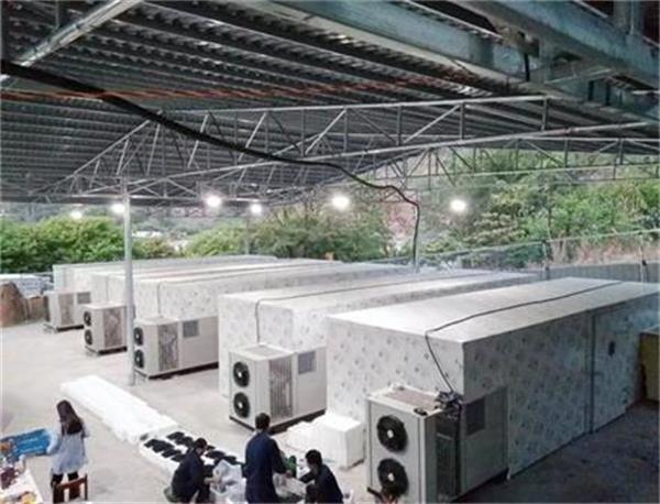 水果種植基地信賴的大型空氣能烘干廠家推薦