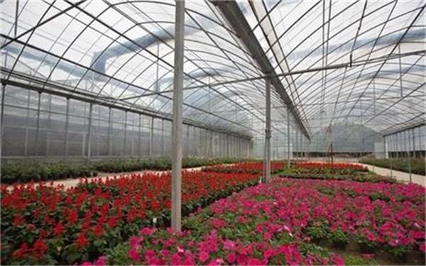 花卉溫室大棚專用的熱泵采暖設備