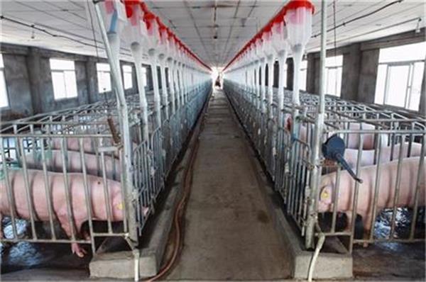 山東養殖大棚采用空氣能熱泵呈現顯著成果