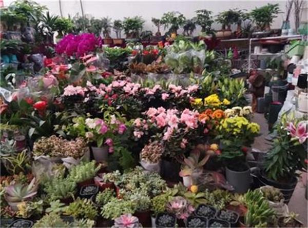 恒溫系統空氣能設備助力現代農業大棚種植