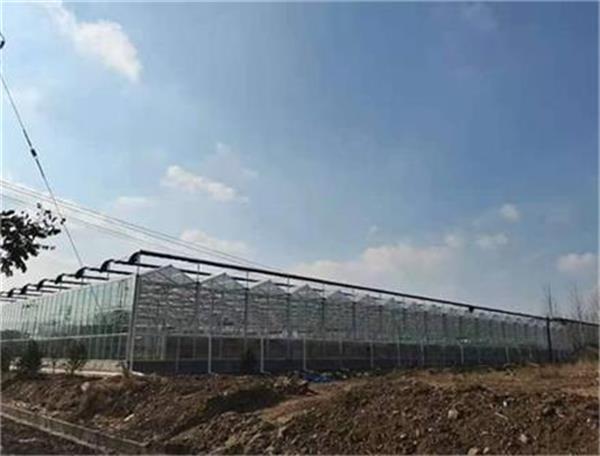 空氣能熱泵：適用農業大棚種植的理想能源