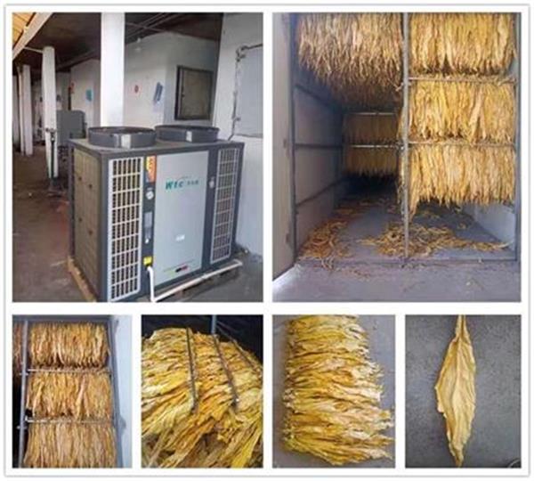 專用烘干熱泵賦能煙葉生產，引領烘干技術革新