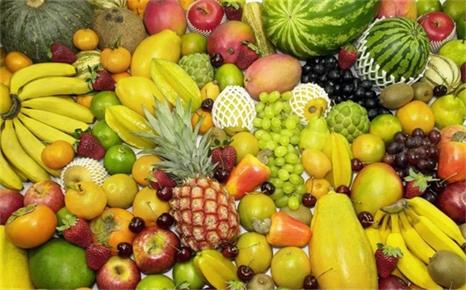 水果種植基地選擇大型烘干機，推薦哪家空氣能廠家？