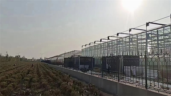 科技助力農(nóng)業(yè)革新：空氣能大棚種植引領(lǐng)新潮流