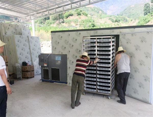 空氣能烘干，農(nóng)產(chǎn)品加工的智能升級方式