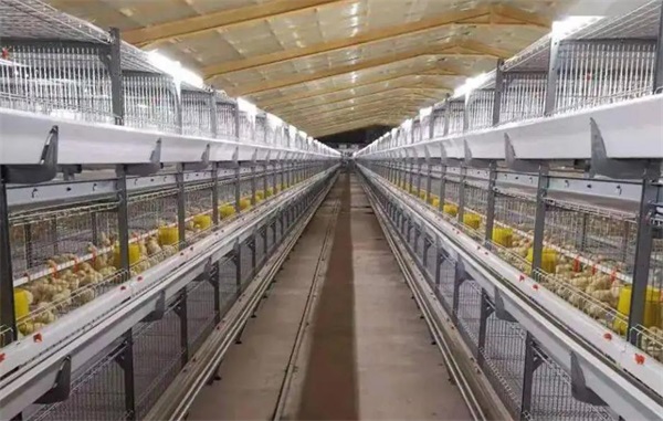 環保高效的空氣能熱泵養殖恒溫方案