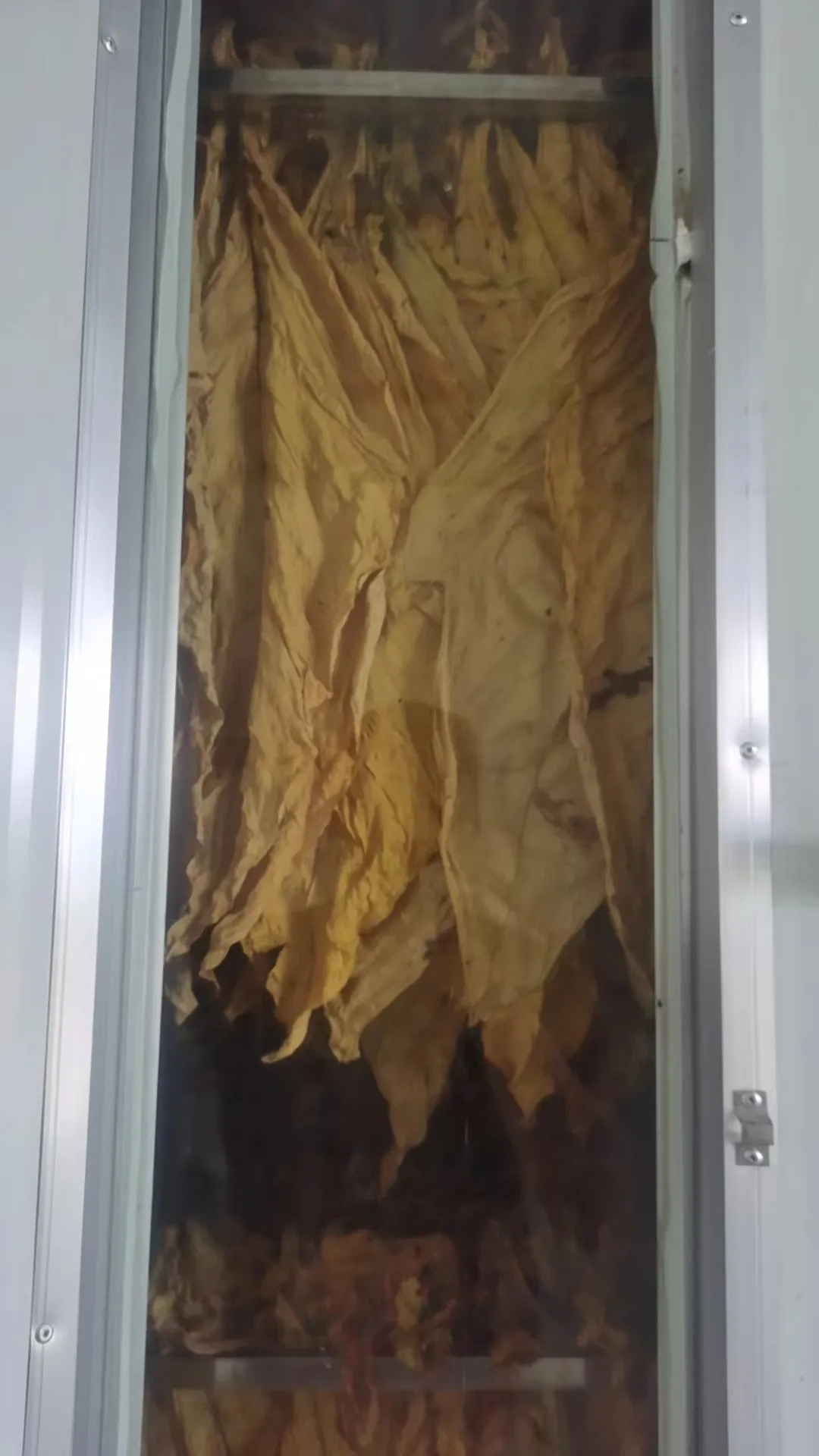 云南多地革新傳統烘干——華天成2000套烘干項目助力農戶降本增效！