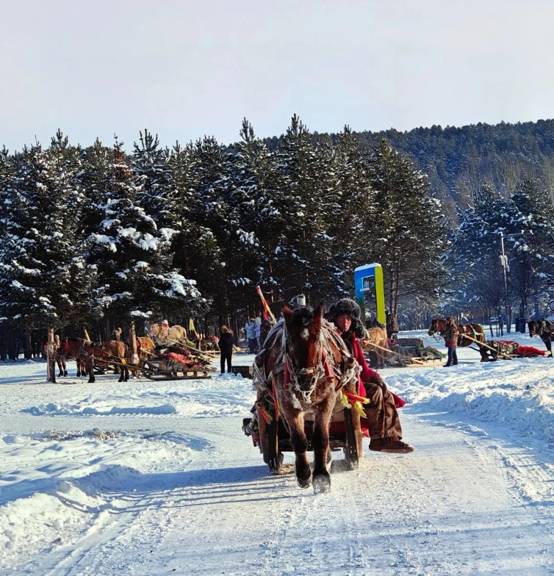 邊陲漠河——極寒守護者！